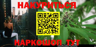 мдпв Гусев