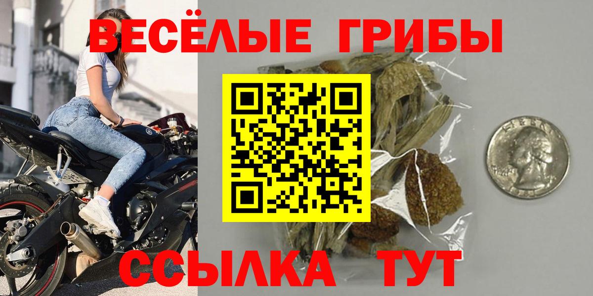 Псилоцибиновые грибы GOLDEN TEACHER  Псилоцибиновые грибы Psilocybine cubensis  Нефтекамск  Вход с VPN 