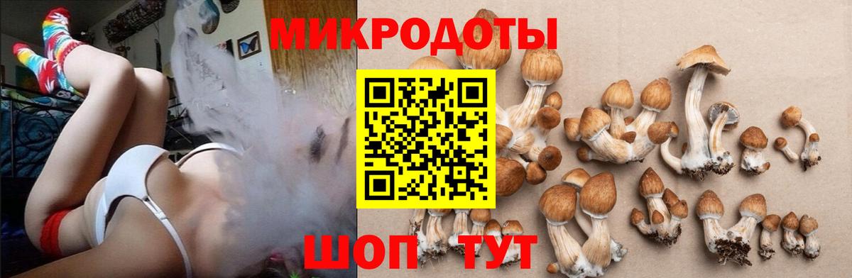 Галлюциногенные грибы MAGIC MUSHROOMS Нефтекамск